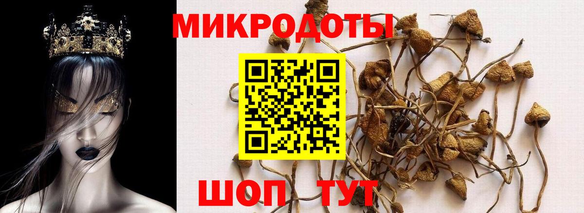 Галлюциногенные грибы GOLDEN TEACHER  Вход с VPN  Новочеркасск 